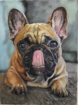 French- Bulldog 9x12
Original $250